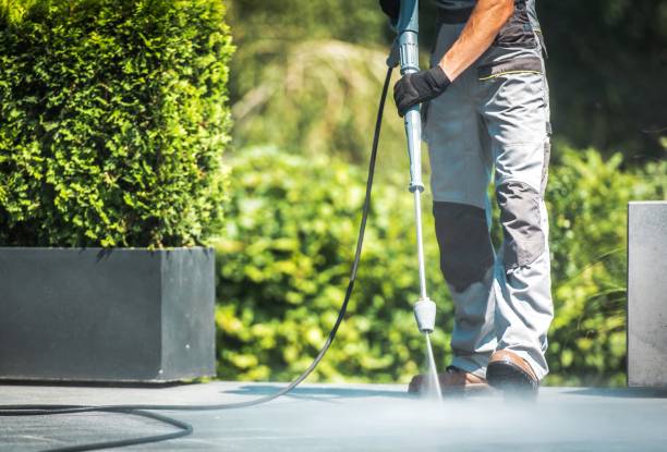 Solar Panel Cleaning in South Apopka, FL