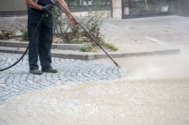 Best Factory Floor Cleaning  in South Apopka, FL